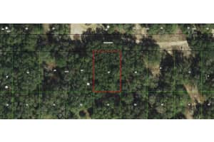 2911 TYLER STREET, INVERNESS, FL 34453 - MLS#MFRC7520912