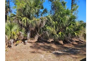 MUSIC LN, NORTH PORT, FL 34286 Sold 02/19/26