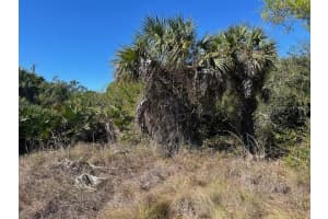 26455 & 26459 DEER ROAD, PUNTA GORDA, FL 33955 - MLS#MFRC7521296