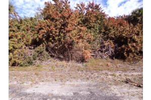 CRIMSONGLORY RD, NORTH PORT, FL 34288 - MLS#MFRC7521417