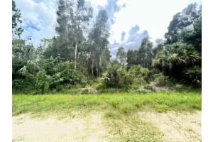 12593 GUCCI DRIVE, PUNTA GORDA, FL 33955 - MLS#MFRC7521468