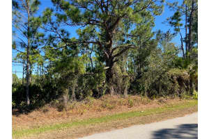 26334 EAGER ROAD, PUNTA GORDA, FL 33955 - MLS#MFRC7521570