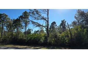 5481 WHITE AVENUE, PORT CHARLOTTE, FL 33981 - MLS#MFRC7521646