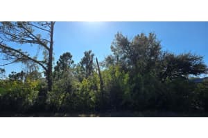 5481 WHITE AVENUE, PORT CHARLOTTE, FL 33981 - MLS#MFRC7521646