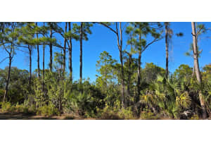 12054 KELLER AVENUE, PORT CHARLOTTE, FL 33981 - MLS#MFRC7521647