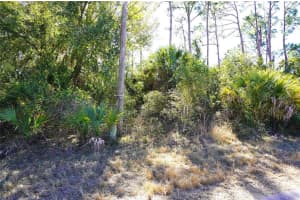 SEDBERRY AVE, NORTH PORT, FL 34288 - MLS#MFRC7521715