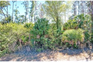 SEDBERRY AVE, NORTH PORT, FL 34288 - MLS#MFRC7521715