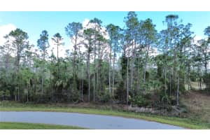 Lots 14 and 15, LATOUR AVENUE, NORTH PORT, FL 34291 - MLS#MFRC7521726