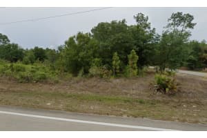 1007 10TH STREET, LEHIGH ACRES, FL 33972 - MLS#MFRC7521846