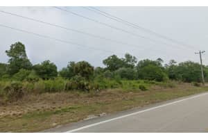 1007 10TH STREET, LEHIGH ACRES, FL 33972 - MLS#MFRC7521846