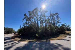 0 EVANGELINA LANE & TOLUCA TERRACE LOTS #23 & 24, NORTH PORT, FL 34286 - MLS#MFRC7521929