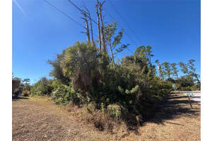 0 EVANGELINA LANE & TOLUCA TERRACE LOTS #23 & 24, NORTH PORT, FL 34286 - MLS#MFRC7521929