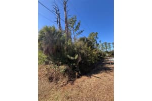 0 EVANGELINA LANE & TOLUCA TERRACE LOTS #23 & 24, NORTH PORT, FL 34286 - MLS#MFRC7521929