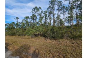 BLUELEAF DR, NORTH PORT, FL 34288 - MLS#MFRC7521980