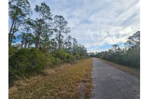 BLUELEAF DR, NORTH PORT, FL 34288 - MLS#MFRC7521980