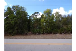 12253 GREEN GULF BOULEVARD, PUNTA GORDA, FL 33955 - MLS#MFRC7522070