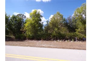 12253 GREEN GULF BOULEVARD, PUNTA GORDA, FL 33955 - MLS#MFRC7522070