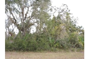 1012 BOWMAN TERRACE, PORT CHARLOTTE, FL 33953 - MLS#MFRC7522093