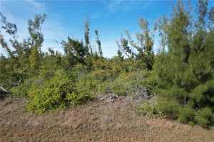 10565 ABELLO ROAD, PORT CHARLOTTE, FL 33981 - MLS#MFRC7522112