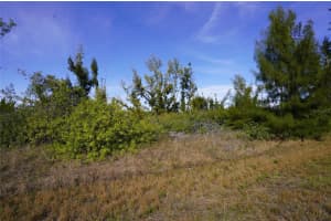 10565 ABELLO ROAD, PORT CHARLOTTE, FL 33981 - MLS#MFRC7522112