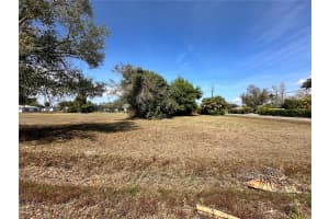 350 ALLEN STREET, PUNTA GORDA, FL 33950 - MLS#MFRC7522206