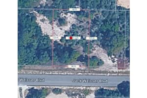 390 JACK WEISSER BOULEVARD, LAKE PLACID, FL 33852 - MLS#MFRC7522268