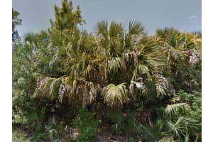 0 RAVEN STREET, NORTH PORT, FL 34286 - MLS#MFRC7522286