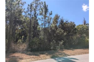 BANNOCK CIR, NORTH PORT, FL 34288 - MLS#MFRC7522333