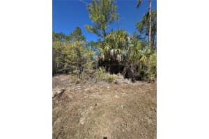 HENNING ST, NORTH PORT, FL 34288 - MLS#MFRC7522339