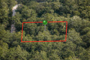 6619 CANOPY TERRACE, HERNANDO, FL 34442 - MLS#MFRC7522341