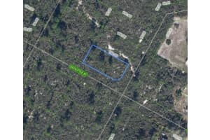 MLS# MFRC7522356, Lake Placid, Florida 33852