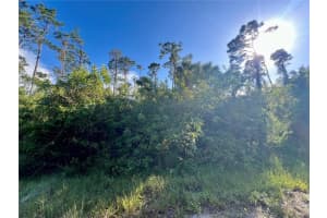 JUBILEE CIR, NORTH PORT, FL 34288 - MLS#MFRC7522362