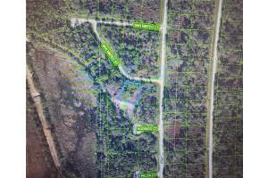 8674 SAN MATEO STREET, SEBRING, FL 33872 - MLS#MFRC7522545