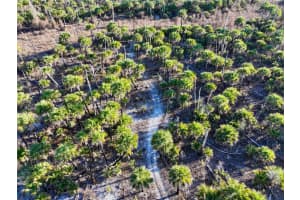 BLACK BURN ROAD, NAPLES, FL 34117 - MLS#MFRC7522769