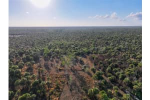 BLACK BURN ROAD, NAPLES, FL 34117 - MLS#MFRC7522769