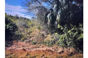 LOT 67 HARCOURT CIRCLE, NORTH PORT, FL 34288 - MLS#MFRC7522826