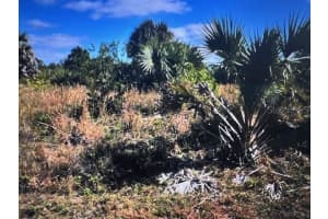 LOT 45 BARNSDALE CIRCLE, NORTH PORT, FL 34288 - MLS#MFRC7522851