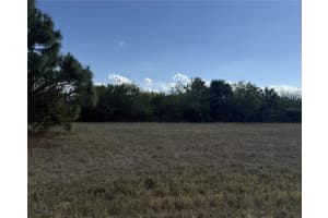 14033 TORPEDO-RAY PLACE, PLACIDA, FL 33946 - MLS#MFRC7522890