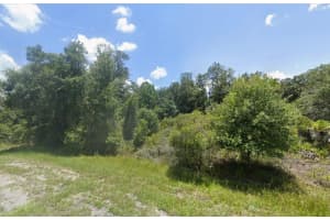 Lot 4 MATADOR ROAD, NORTH PORT, FL 34291 - MLS#MFRC7522903