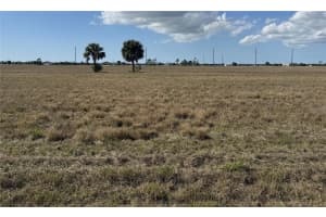 40 THRUSH DRIVE, PLACIDA, FL 33946 - MLS#MFRC7522914