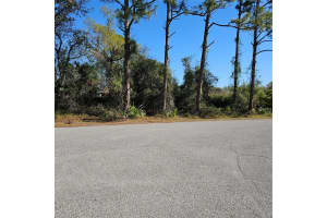 JANARO RD, NORTH PORT, FL 34288 - MLS#MFRC7522992