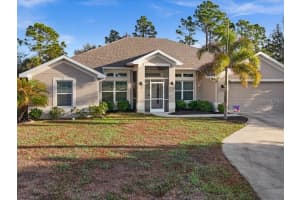 26284 Trinilas Dr, PUNTA GORDA