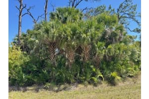 5102 HOPKINS AVENUE, PORT CHARLOTTE, FL 33981 - MLS#MFRC7523088