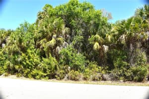 13358 DRUMMOND AVENUE, PORT CHARLOTTE, FL 33953 - MLS#MFRC7523158