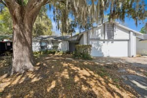 1713 Ison Ln, OCOEE