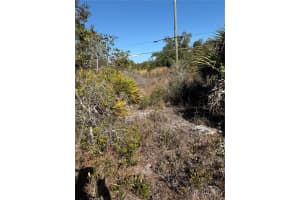 MLS# MFRC7523396, Port Charlotte, Florida 33953