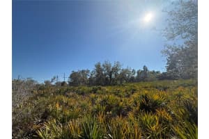 MLS# MFRC7523396, Port Charlotte, Florida 33953