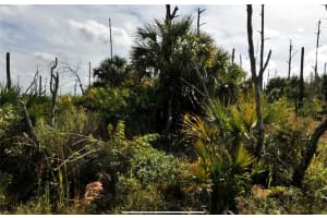 PLUMLEAF TER, NORTH PORT, FL 34288 - MLS#MFRC7523407