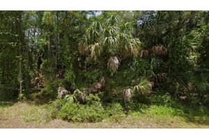 APRICOT ST, NORTH PORT, FL 34288 - MLS#MFRC7523499