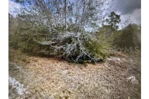 13274 CALOOSA DRIVE, PUNTA GORDA, FL 33955 - MLS#MFRC7523538